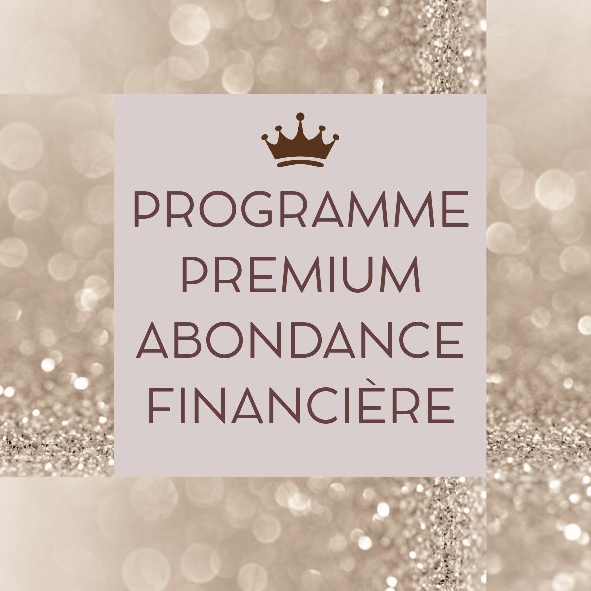 PROGRAMME PREMIUM ABONDANCE FINANCIERE
